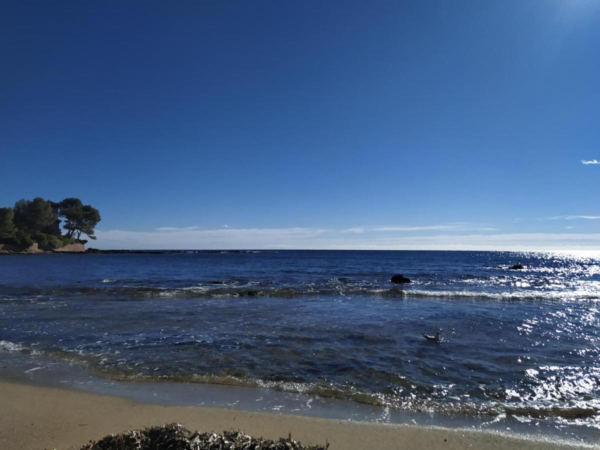 Studio Paradise Entre Mer Et Pins Сен-Рафаель Екстер'єр фото